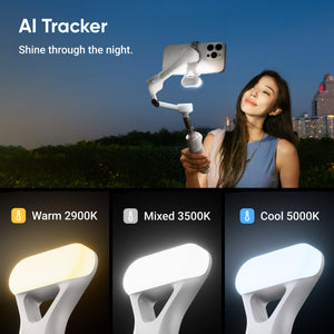 Insta360 Flow 2 Flow 2 Stone Gray AI Tracker Bundle 6