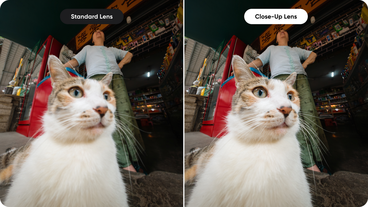 Insta360 Ace Pro 2 Close-Up Lens manufacturer example comparing ordinary and close-up framing