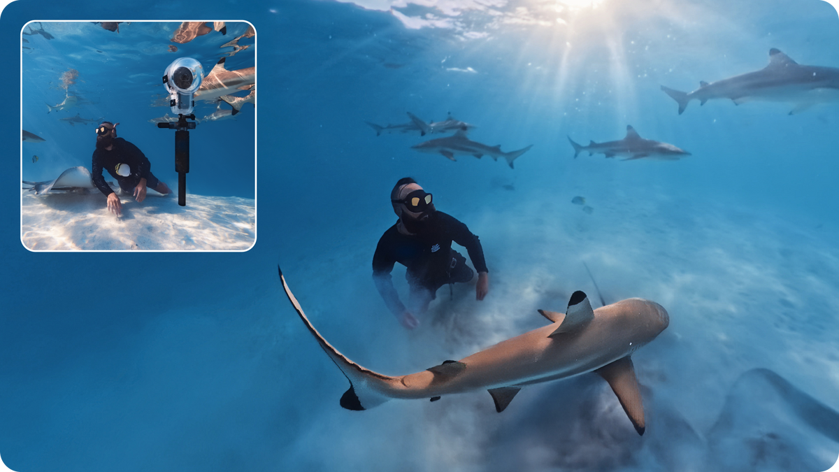 Insta360 Dive Buddy manufacturer 360 viewpoint illustration with an inset camera position