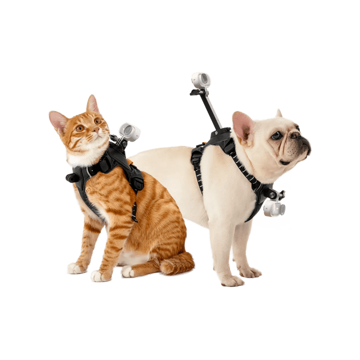 Insta360 Pet Harness Mount S/M for Pet POV Camera Shots - ACE Peripherals