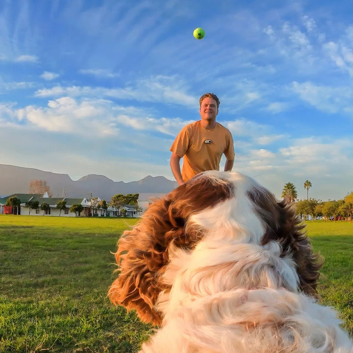 Insta360 Pet Harness Mount S/M for Pet POV Camera Shots - ACE Peripherals