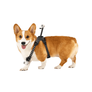 Insta360 Pet Harness Mount S/M for Pet POV Camera Shots - ACE Peripherals