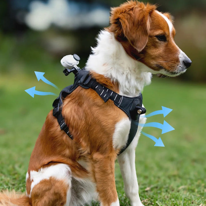 Insta360 Pet Harness Mount S/M for Pet POV Camera Shots - ACE Peripherals