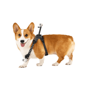 Insta360 Pet Harness Mount S/M for Pet POV Camera Shots - ACE Peripherals
