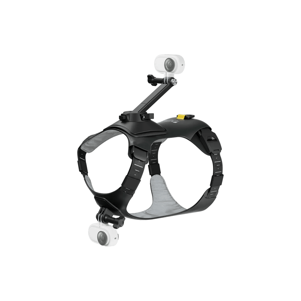 Insta360 Pet Harness Mount S/M for Pet POV Camera Shots - ACE Peripherals