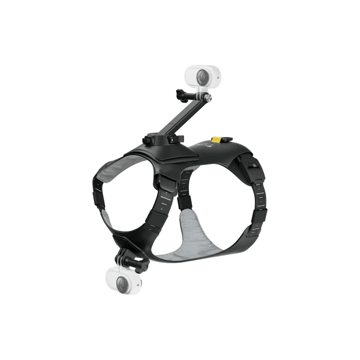 Insta360 Pet Harness Mount S/M for Pet POV Camera Shots - ACE Peripherals