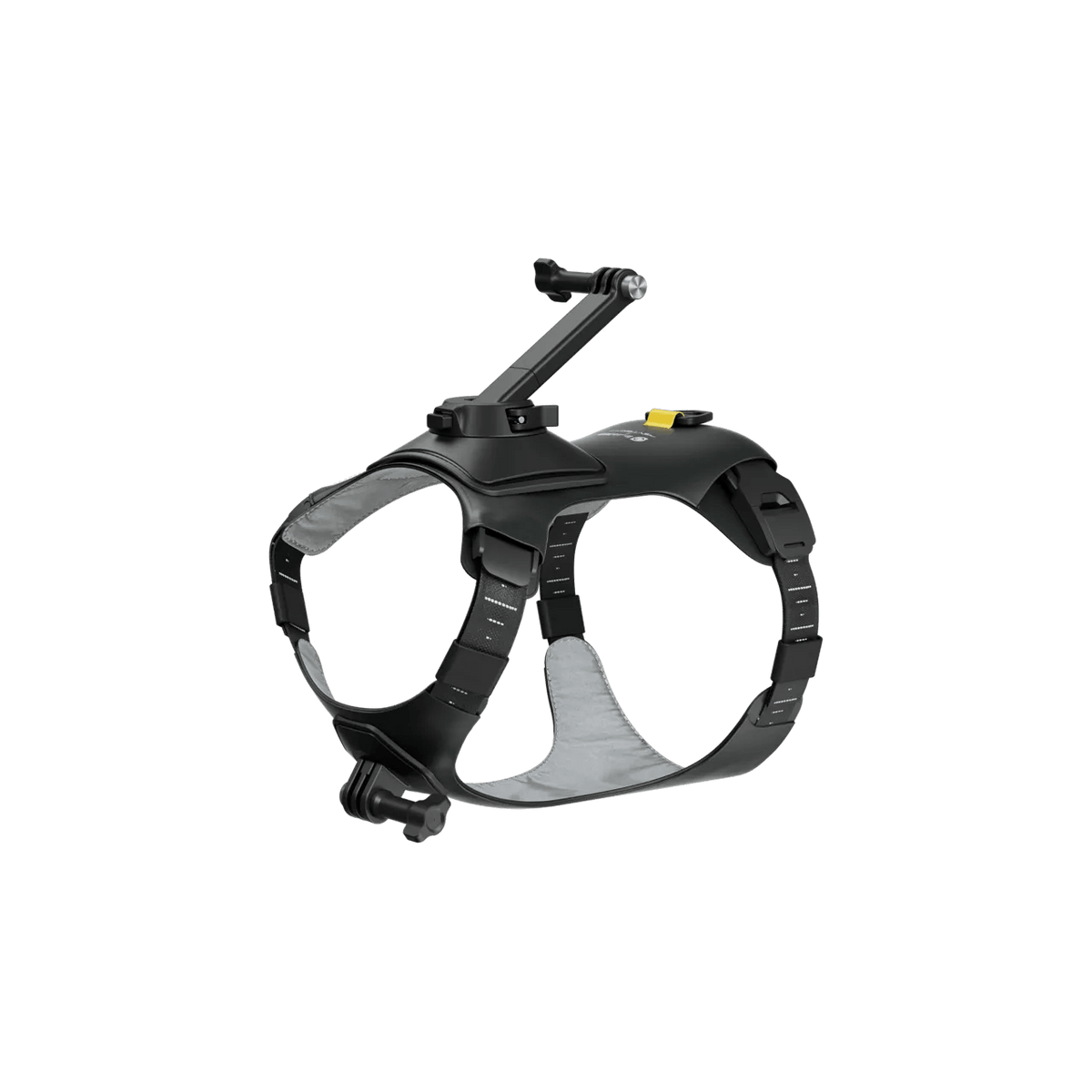 Insta360 Pet Harness Mount S/M for Pet POV Camera Shots - ACE Peripherals