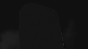 Insta360 ONE X2