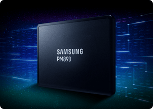Samsung PM893 Data Center SSD - ACE Peripherals