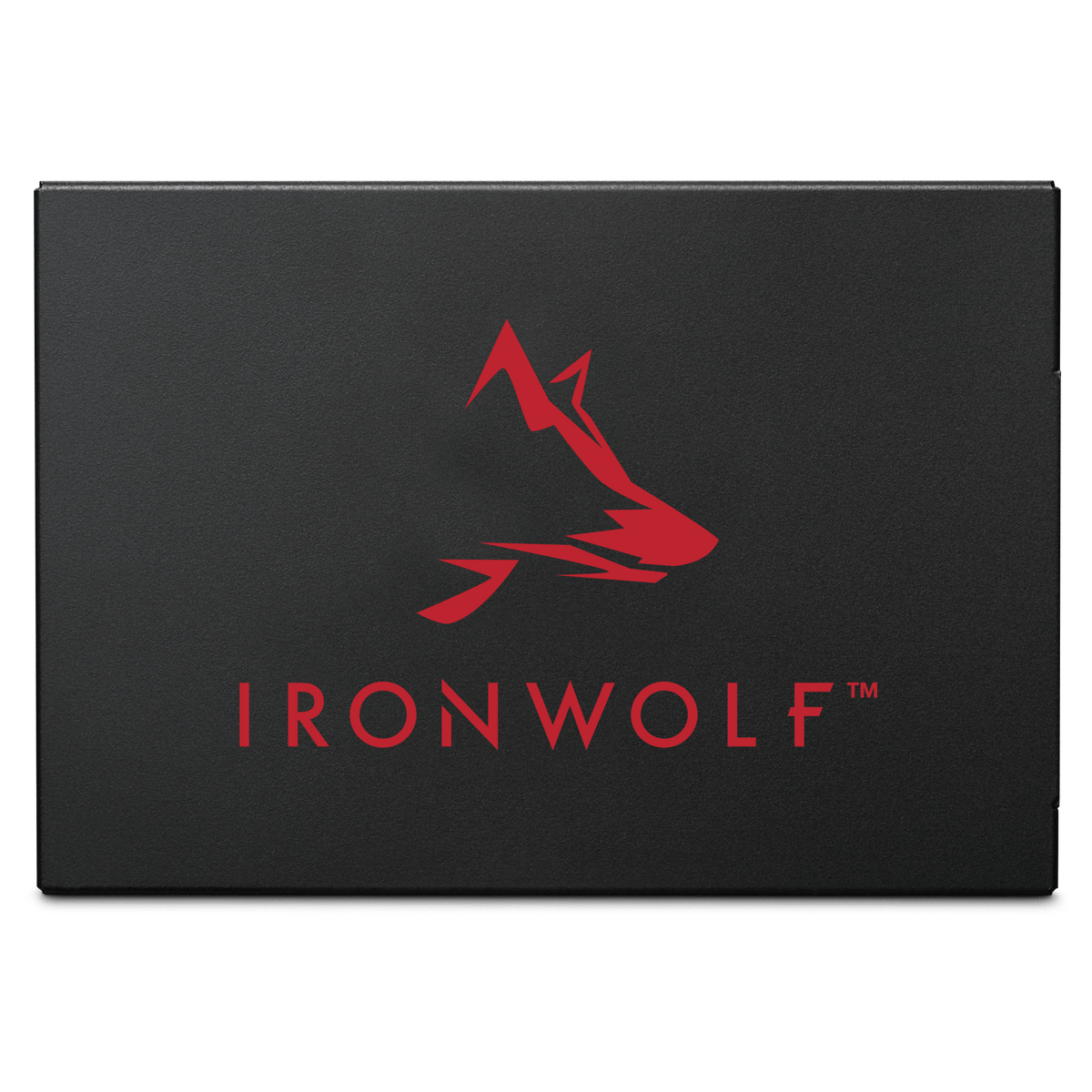 Seagate IronWolf 125 SATA SSD - ACE Peripherals