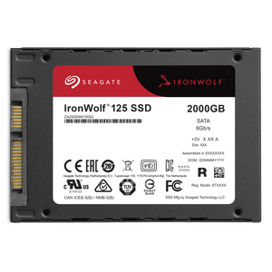Seagate IronWolf 125 SATA SSD - ACE Peripherals