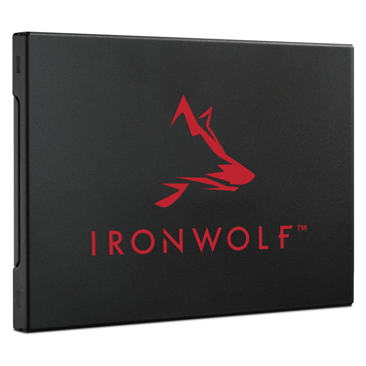 Seagate IronWolf 125 SATA SSD - ACE Peripherals