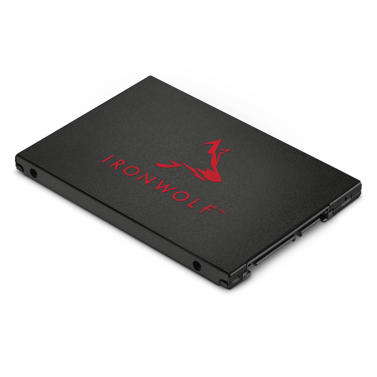 Seagate IronWolf 125 SATA SSD - ACE Peripherals