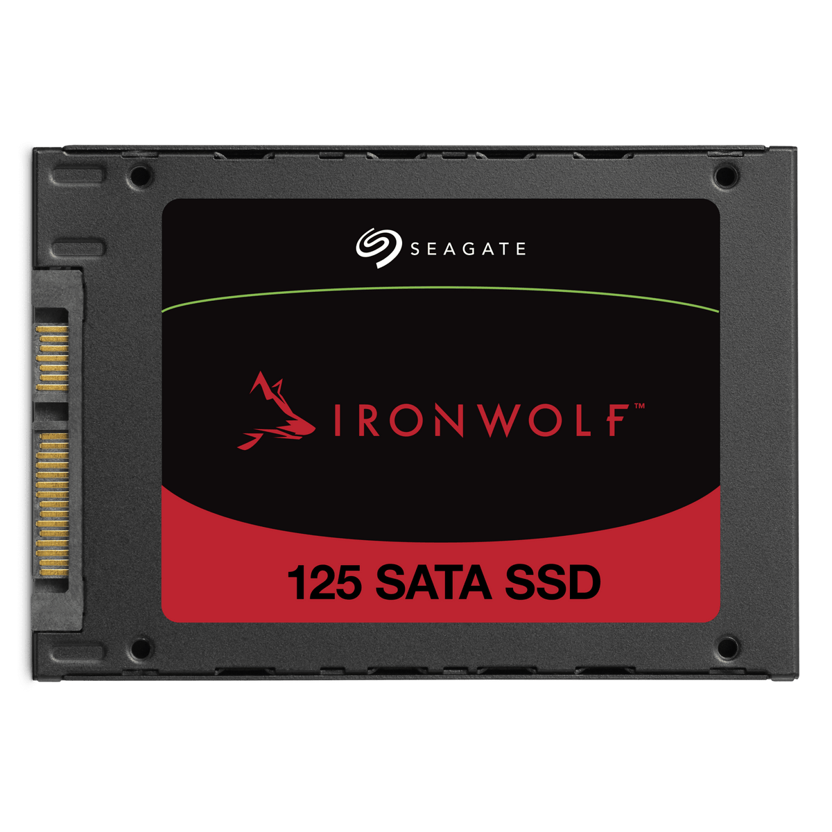 Seagate IronWolf 125 SATA SSD - ACE Peripherals