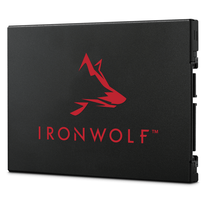 Seagate IronWolf 125 SATA SSD - ACE Peripherals