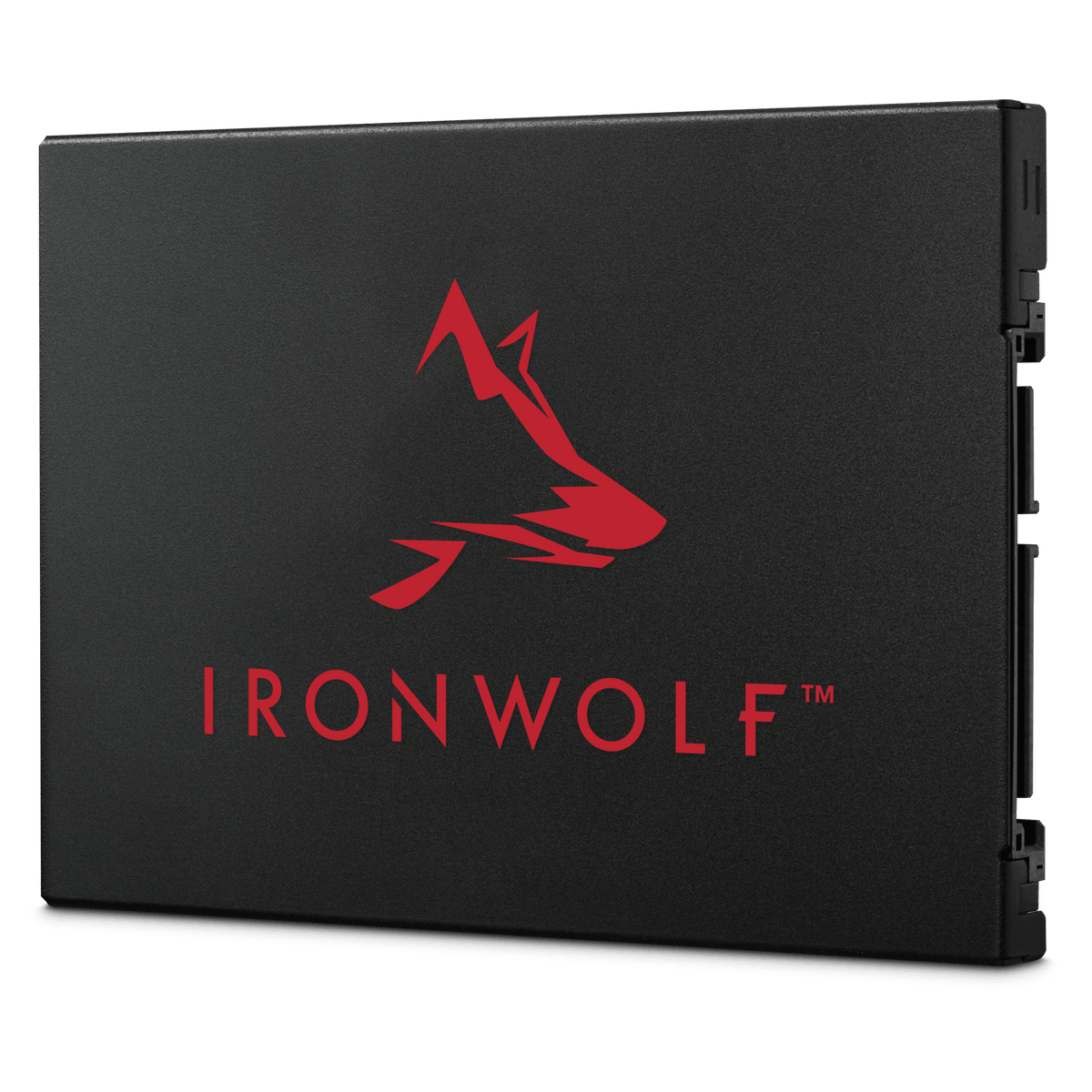 Seagate IronWolf 125 SATA SSD - ACE Peripherals
