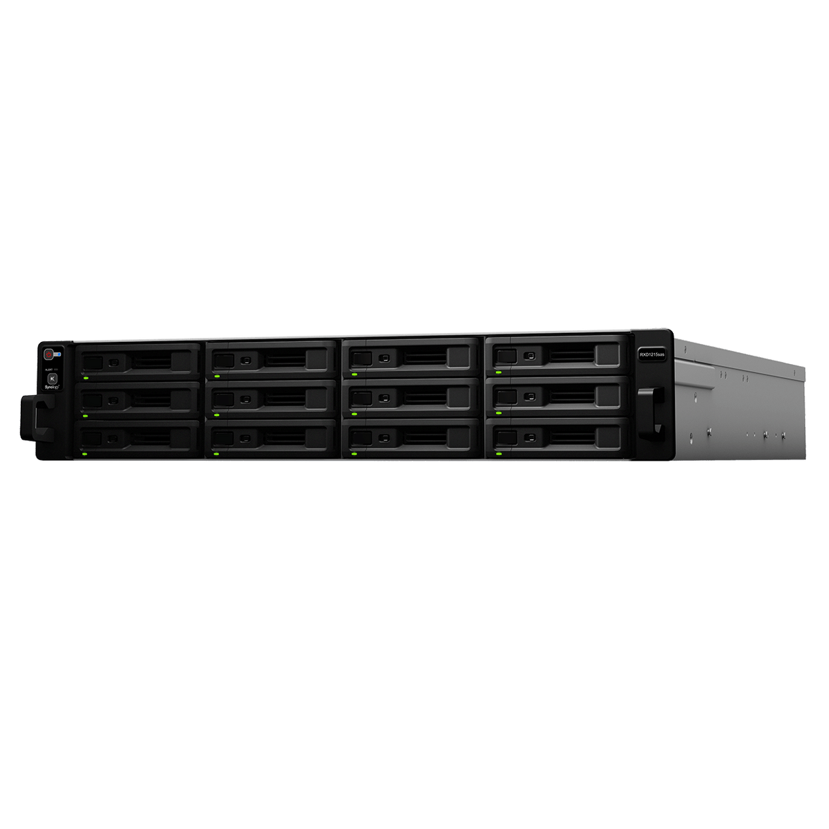 Synology RX1215sas 12-Bay Rackmount Expansion - ACE Peripherals