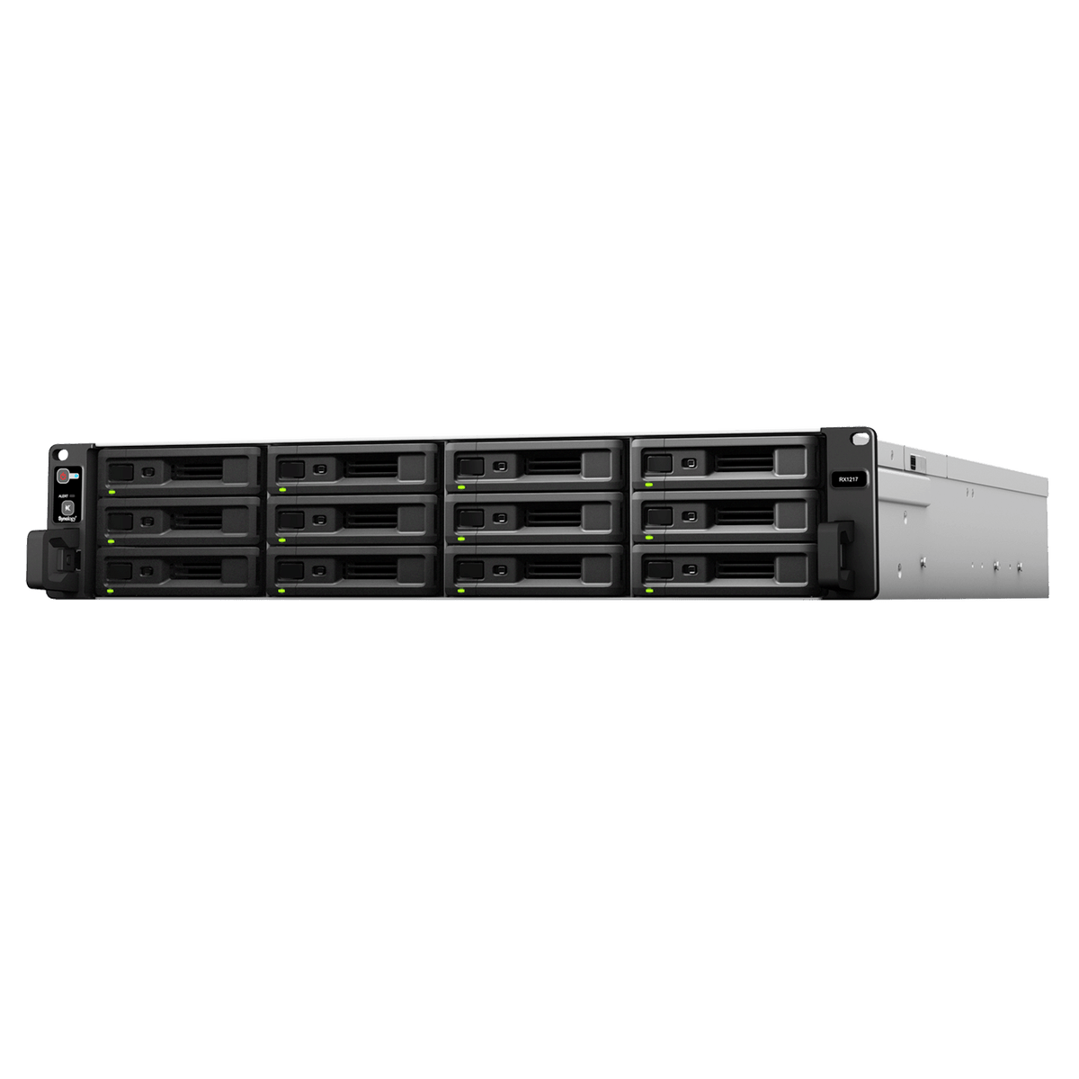 Synology RX1217/RX1217RP 12-Bay Rackmount Expansion - ACE Peripherals