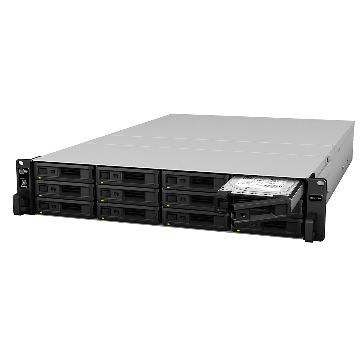 Synology RX1217/RX1217RP 12-Bay Rackmount Expansion - ACE Peripherals