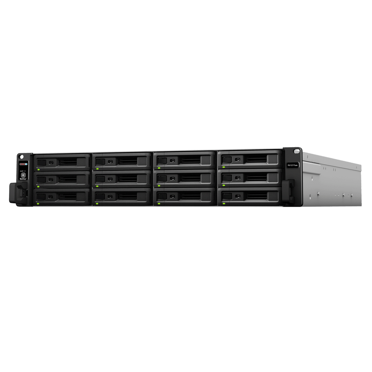 Synology RX1217sas 12-Bay Rackmount Expansion - ACE Peripherals