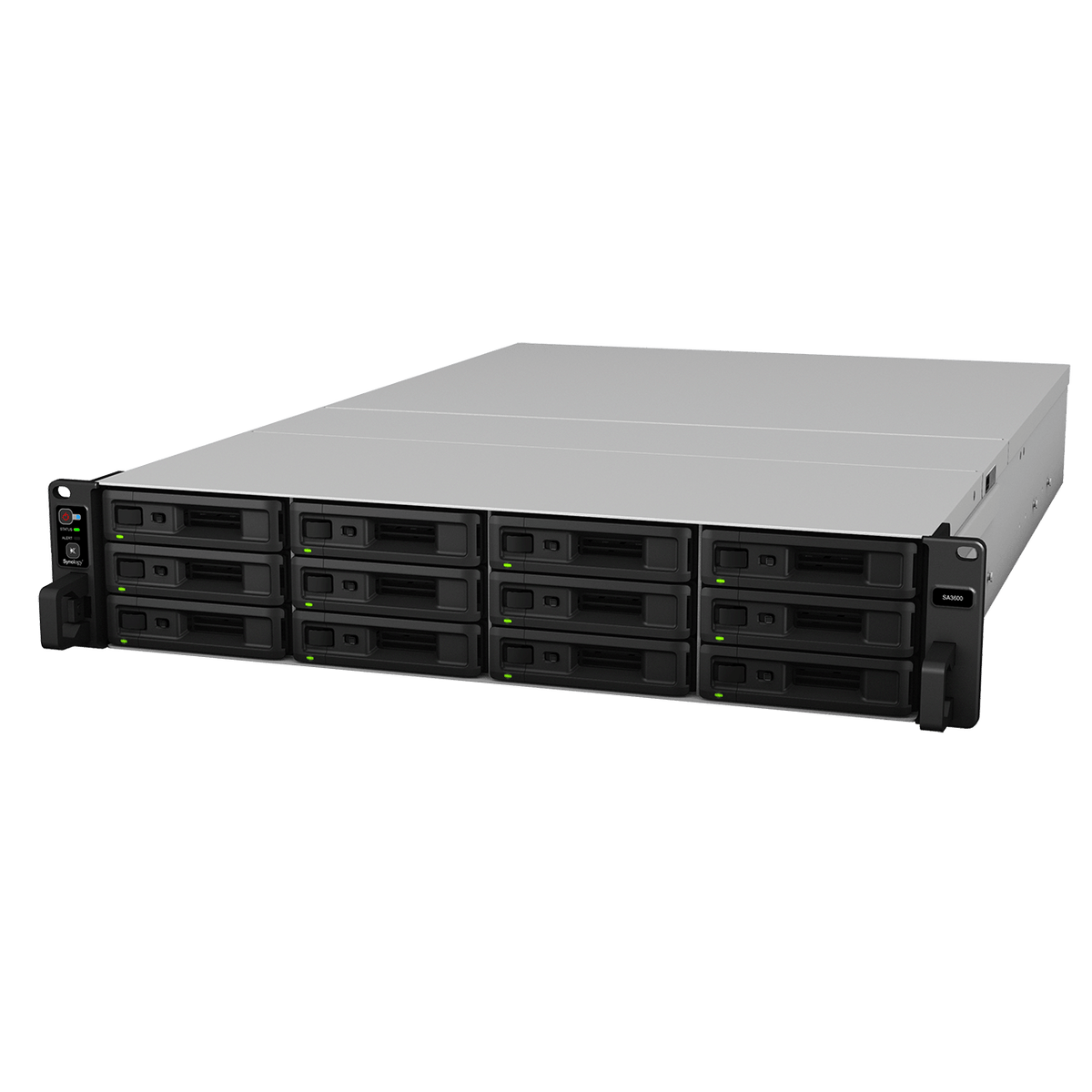 Synology SA3610 12-Bay Rackmount NAS - ACE Peripherals