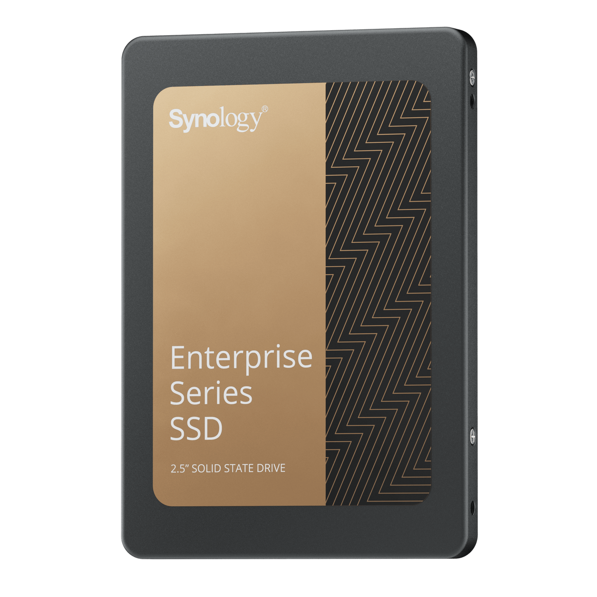 Synology SAT5210 Enterprise Series 2.5" SATA SSD - ACE Peripherals